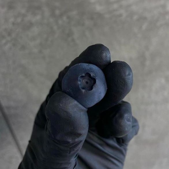 Silikonform Beeren Mix 3D