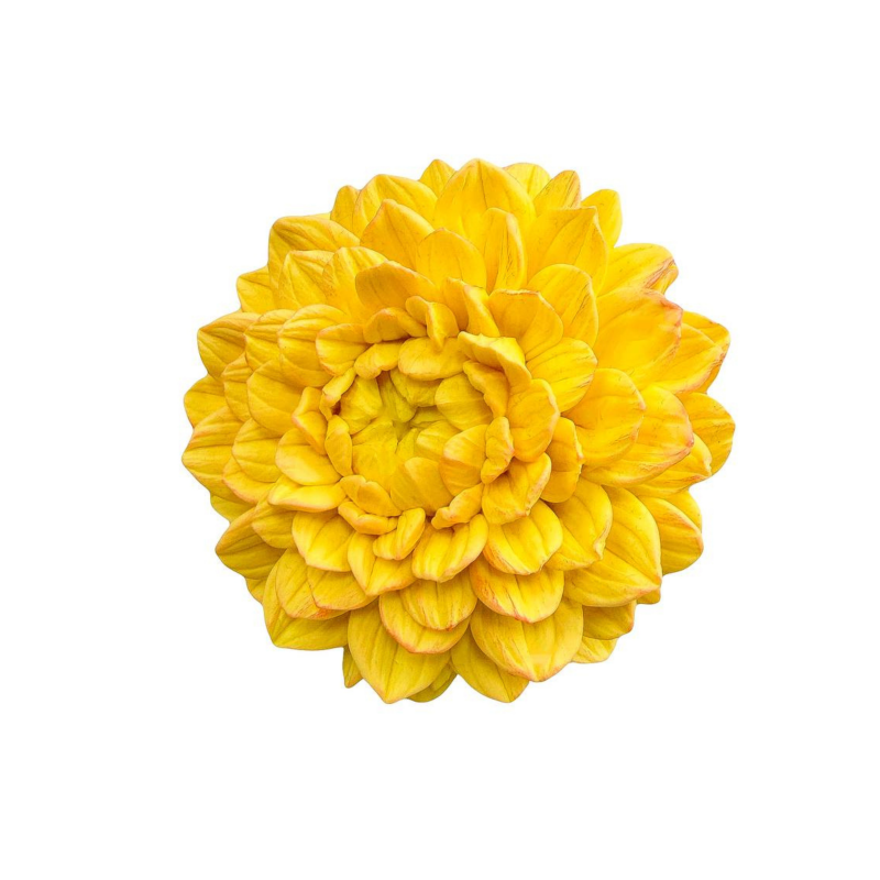 Silikonform Dahlie