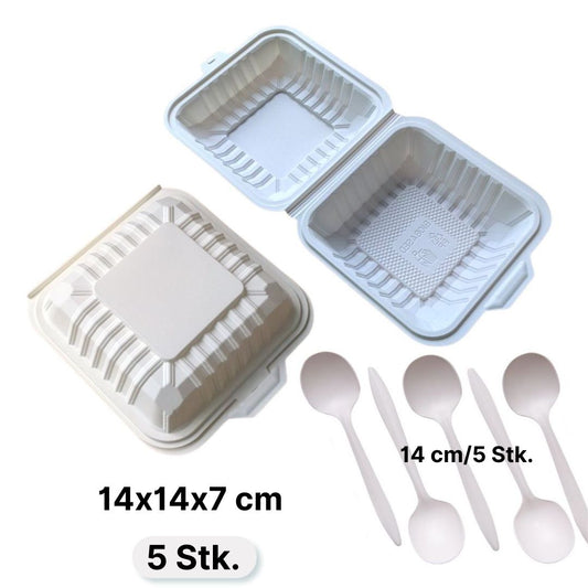 Eco Bento Box