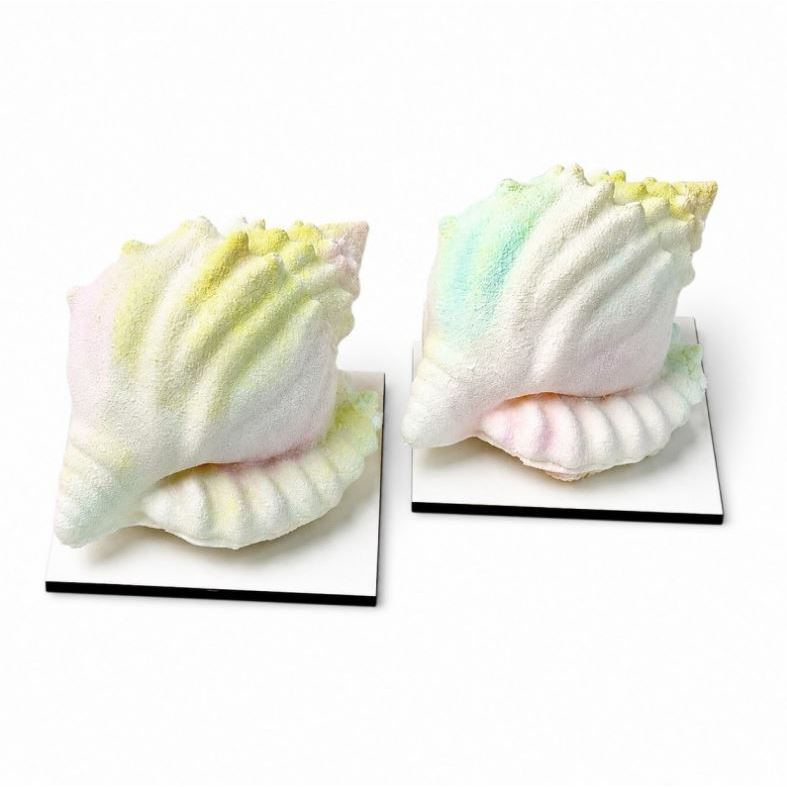 Silikonform Muschel Mini 140 ml - 2er-Set