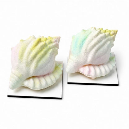 Silikonform Muschel Mini 140 ml - 2er-Set