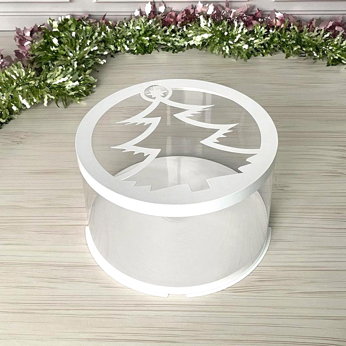 Box Verpackungsschachtel Transparent