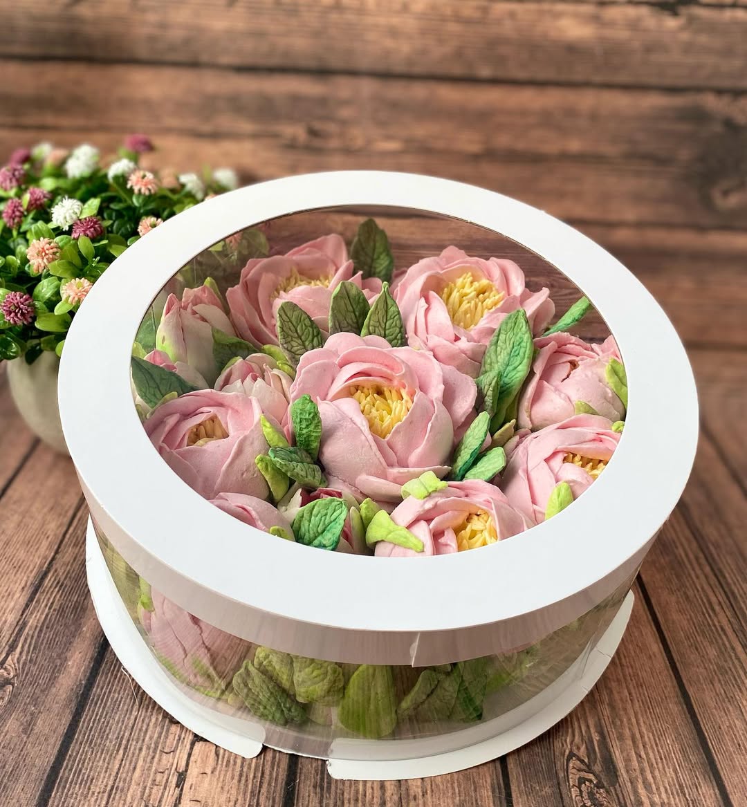 Box Verpackungsschachtel Transparent 25x7 cm Rund Weiß mit Fenster